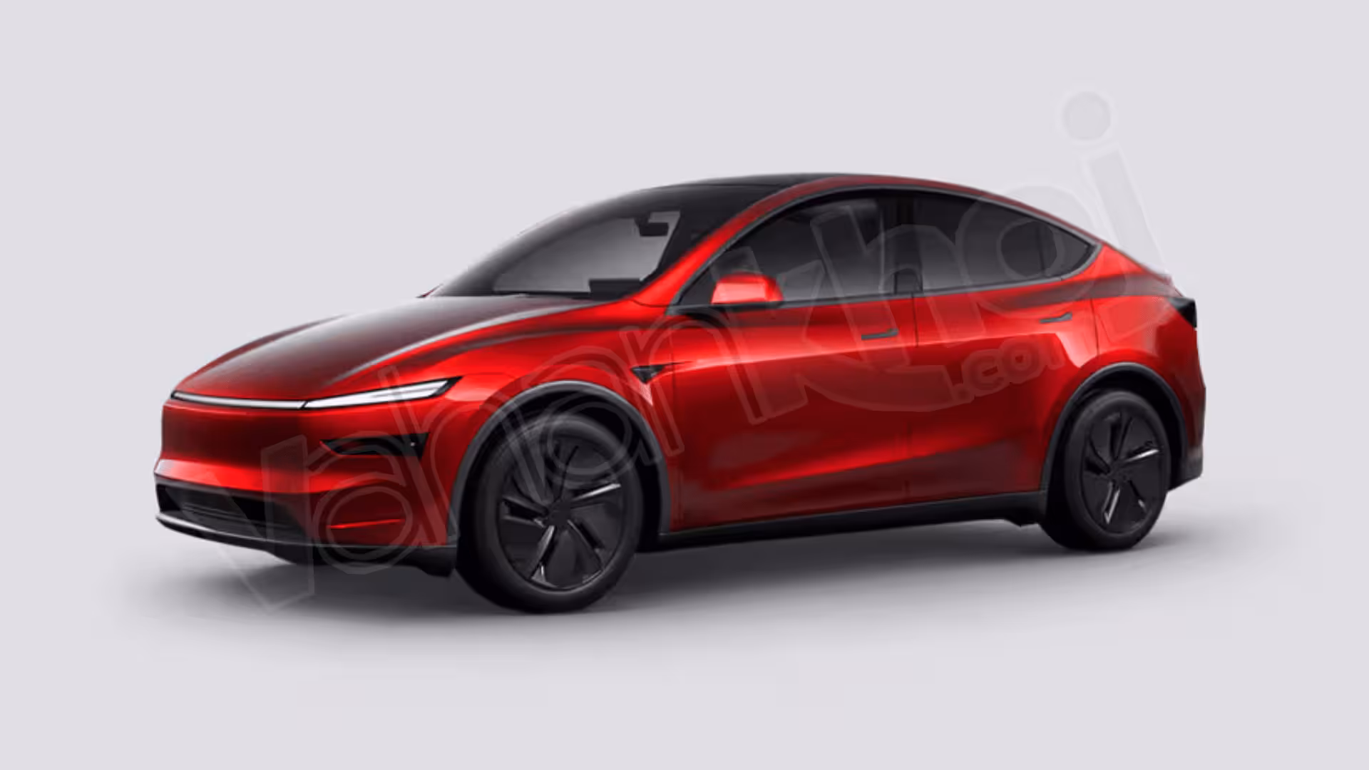 Model Y